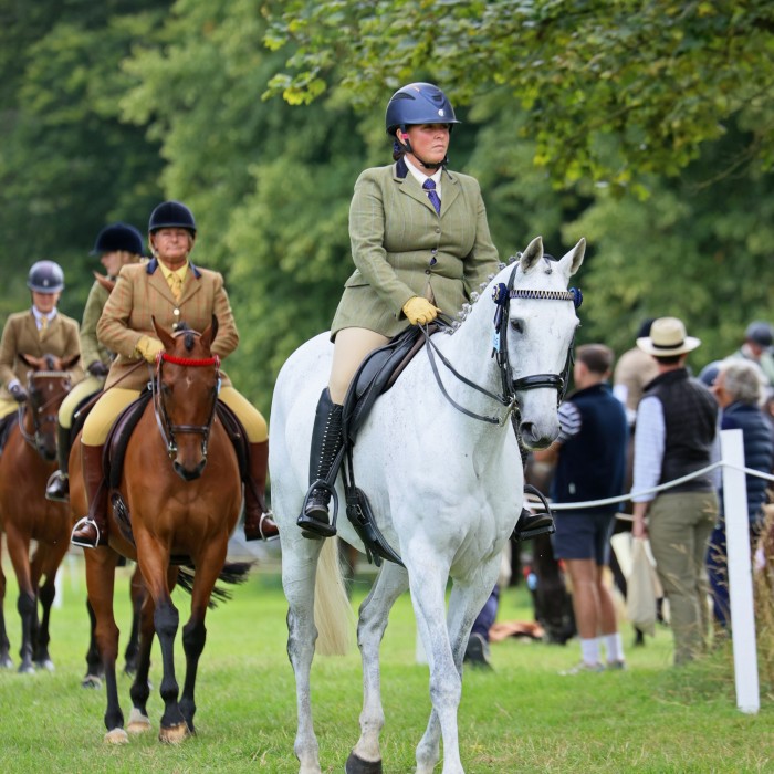 Retraining of Racehorses