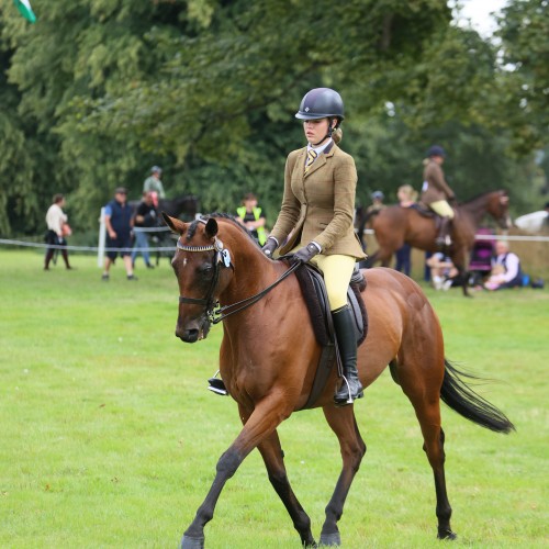 Equestrian Dressage