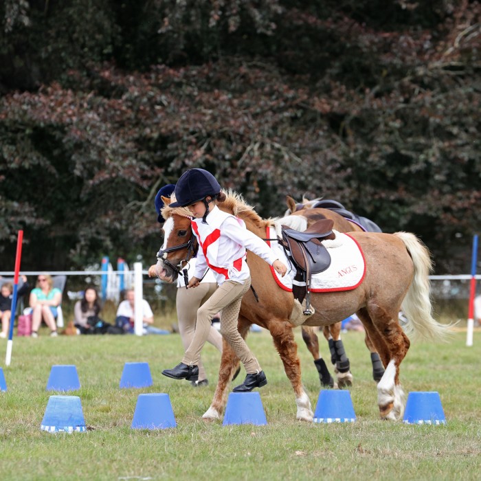Pony Club Games