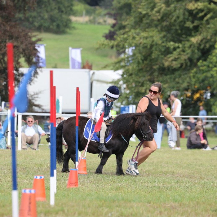 Pony Club Games