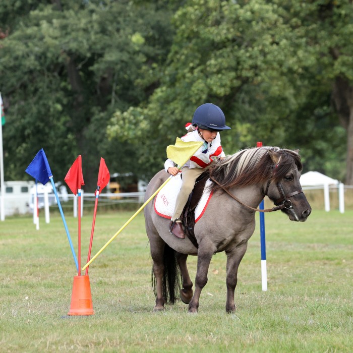 Pony Club Games