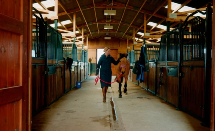 Equine BioGenie