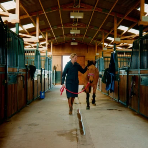 Equine BioGenie