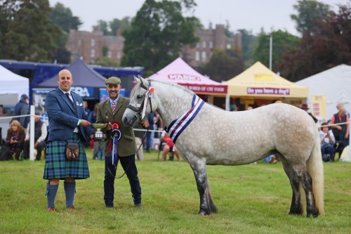 Brodie Of Foreglen at Scone Palace International Horse Trials