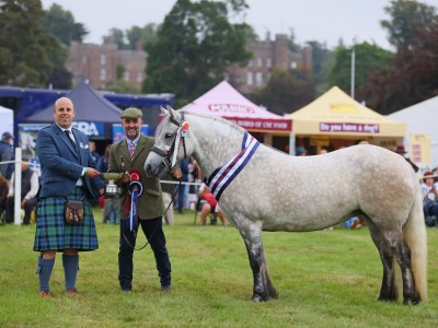 Brodie Of Foreglen at Scone Palace International Horse Trials