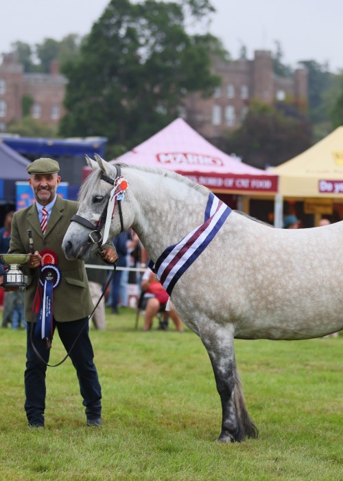 Brodie Of Foreglen at Scone Palace International Horse Trials