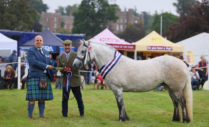 Brodie Of Foreglen at Scone Palace International Horse Trials