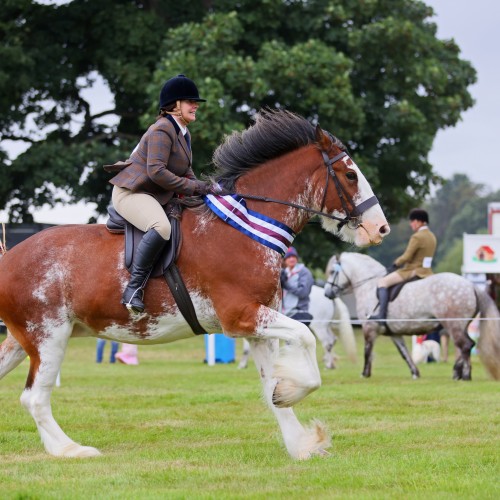 Gersa Lady Of Lauren at Scone Palace International Horse Trials