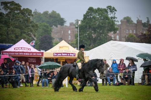 Townend chooses a Connemara Star at Scone Palace International Horse Trials
