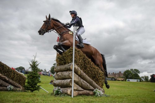 Piggy March (Cooley Anything You Like) at Scone Palace International Horse Trials