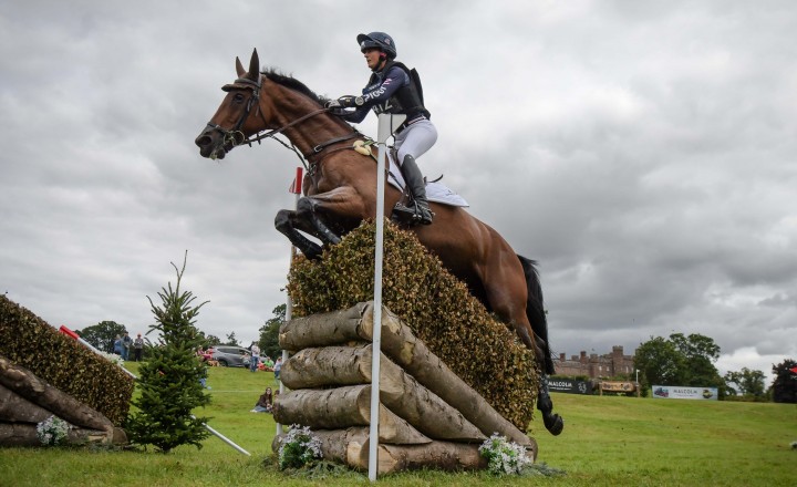 Piggy March (Cooley Anything You Like) at Scone Palace International Horse Trials