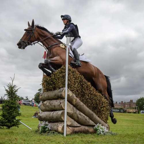 Piggy March (Cooley Anything You Like) at Scone Palace International Horse Trials