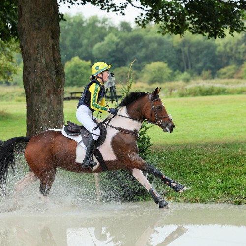 Harry Horton steers two six-year-olds into the top six in the Malcolm Group CCI1-intro