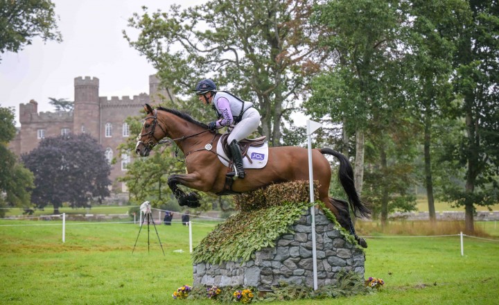 Piggy March (Cooley Anything You Like) at Scone Palace International Horse Trials